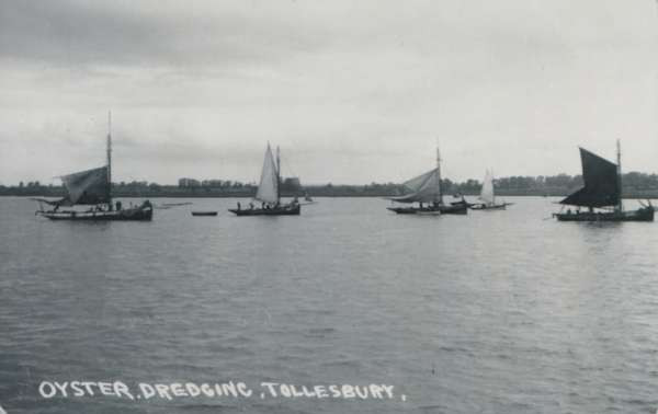 oyster dredging